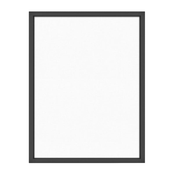 MCS Floating Frame with Canvas Included, Art Frames for Canvas Paintings with Adhesive Fasteners and Hanging Hardware, Black, 18 x 24 inch - Black / 18x24 inch