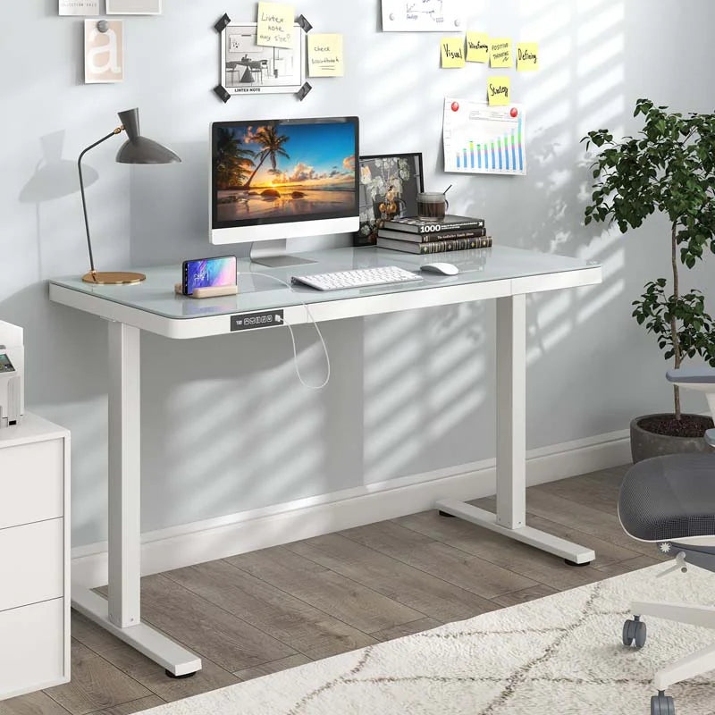 48" x 24" Electric Standing Desk with Drawer, Tempered Glass Top, Memory Positions & USB Type-C Outlets, Sit Stand Desk for Home Office - White