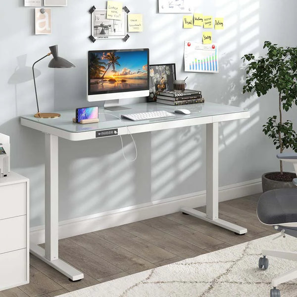 48" x 24" Electric Standing Desk with Drawer, Tempered Glass Top, Memory Positions & USB Type-C Outlets, Sit Stand Desk for Home Office - White